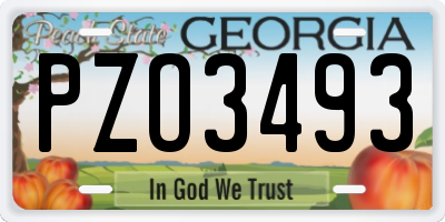 GA license plate PZO3493