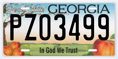 GA license plate PZO3499