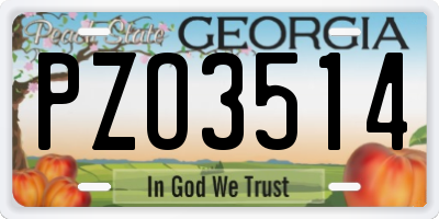 GA license plate PZO3514