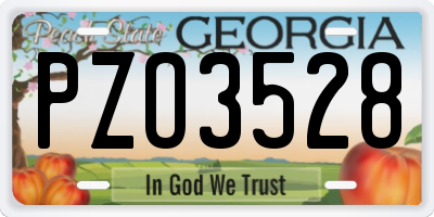 GA license plate PZO3528