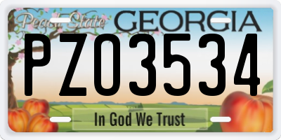 GA license plate PZO3534