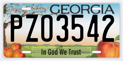 GA license plate PZO3542