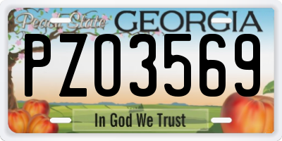 GA license plate PZO3569
