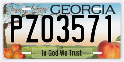 GA license plate PZO3571