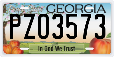 GA license plate PZO3573