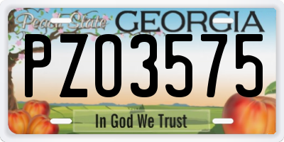 GA license plate PZO3575