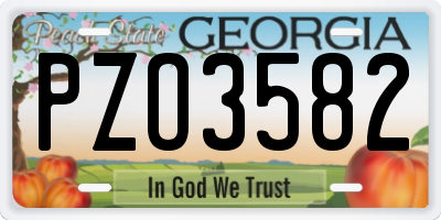 GA license plate PZO3582