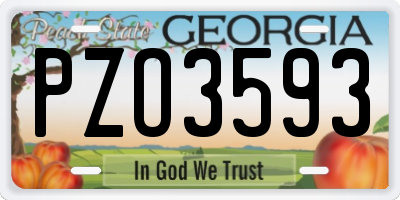 GA license plate PZO3593