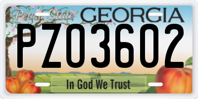 GA license plate PZO3602