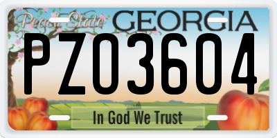 GA license plate PZO3604