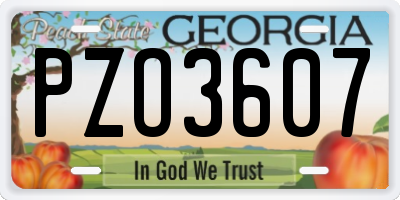 GA license plate PZO3607