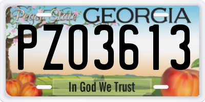 GA license plate PZO3613
