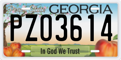 GA license plate PZO3614