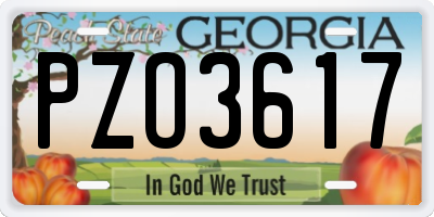 GA license plate PZO3617