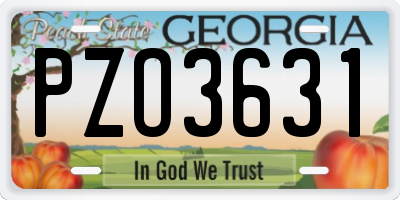 GA license plate PZO3631