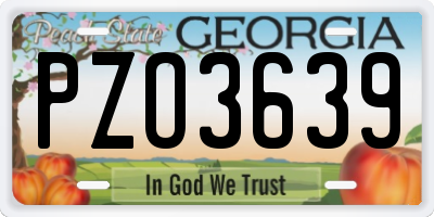 GA license plate PZO3639