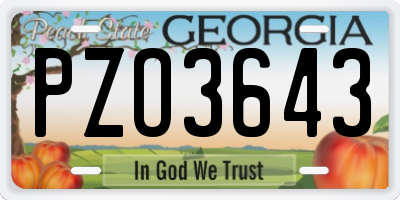GA license plate PZO3643