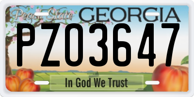 GA license plate PZO3647