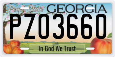 GA license plate PZO3660