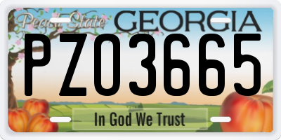 GA license plate PZO3665