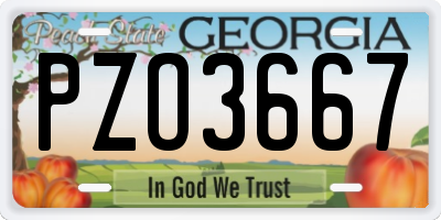 GA license plate PZO3667