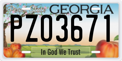GA license plate PZO3671