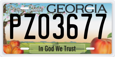 GA license plate PZO3677