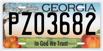 GA license plate PZO3682