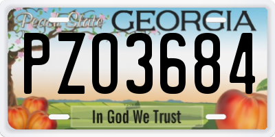 GA license plate PZO3684