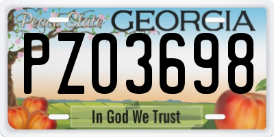 GA license plate PZO3698