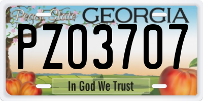GA license plate PZO3707