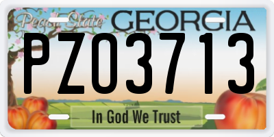 GA license plate PZO3713