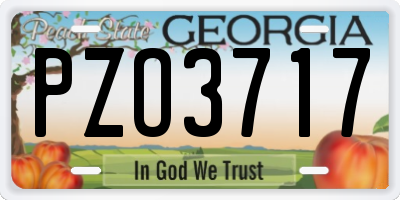 GA license plate PZO3717