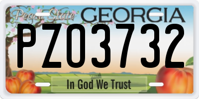 GA license plate PZO3732