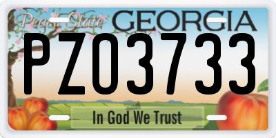 GA license plate PZO3733