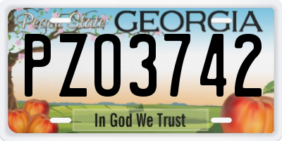 GA license plate PZO3742