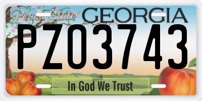 GA license plate PZO3743