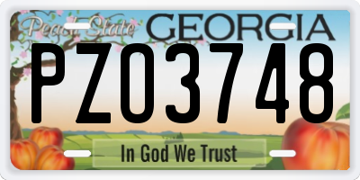 GA license plate PZO3748