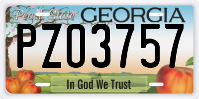 GA license plate PZO3757