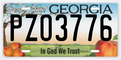 GA license plate PZO3776