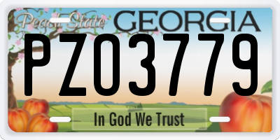 GA license plate PZO3779