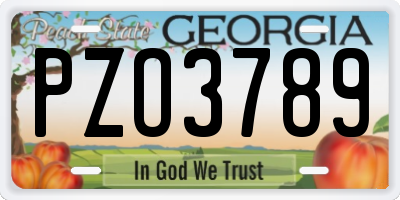 GA license plate PZO3789