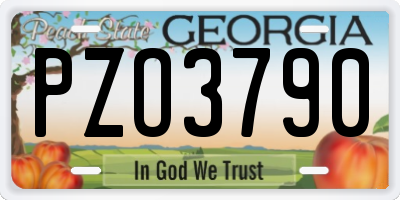 GA license plate PZO3790