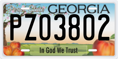 GA license plate PZO3802