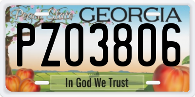 GA license plate PZO3806