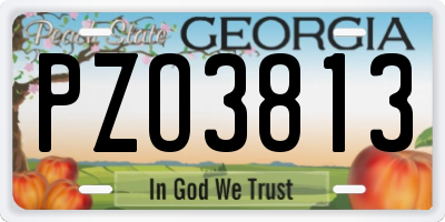 GA license plate PZO3813
