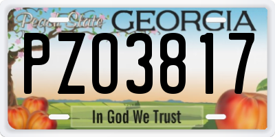 GA license plate PZO3817