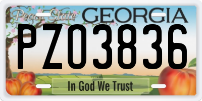 GA license plate PZO3836
