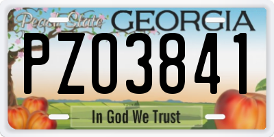 GA license plate PZO3841