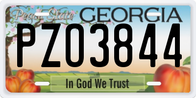 GA license plate PZO3844